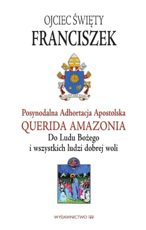 Querida amazonia, Papież Franciszek