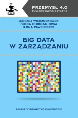 Big data w zarządzaniu