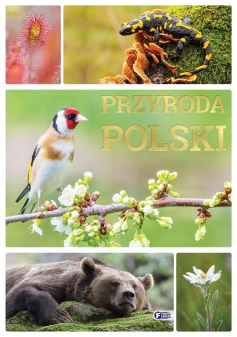 Przyroda Polski