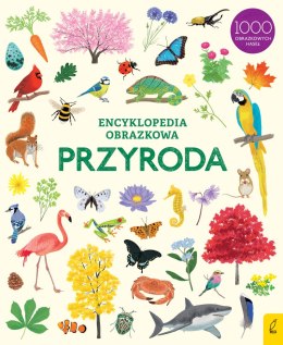 Przyroda. Encyklopedia obrazkowa