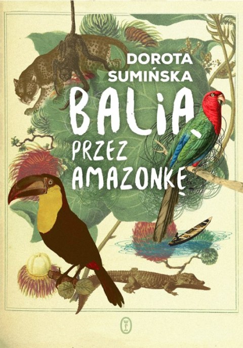 Balią przez amazonkę