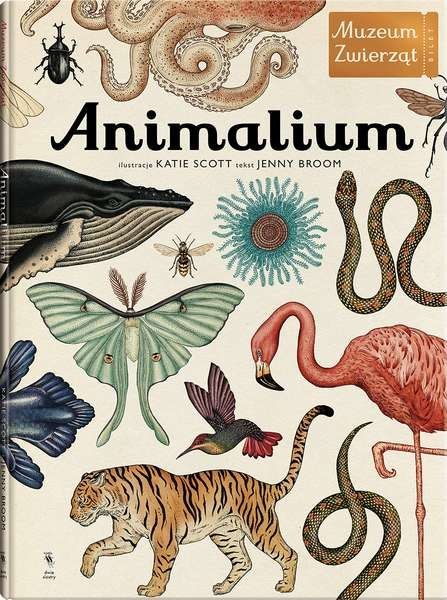 Animalium muzeum zwierząt wyd. 3