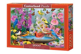 Puzzle 2000 Rytm natury C-200818-2