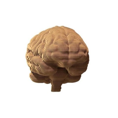 Puzzle 3D Brain Cartonic