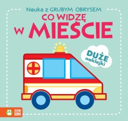 Co widzę w mieście. Nauka z grubym obrysem