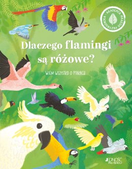 Dlaczego flamingi są różowe? Wiem wszystko o ptakach