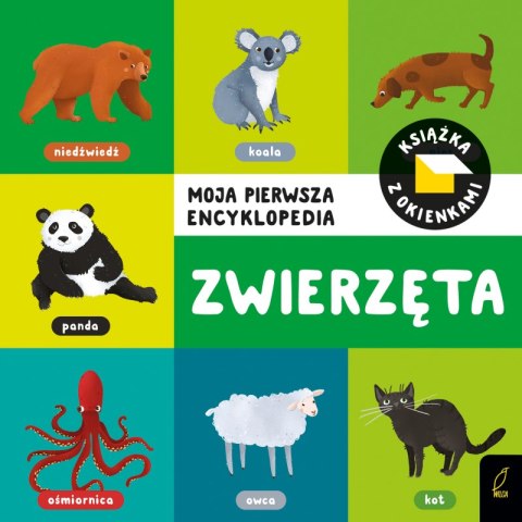 Zwierzęta. Moja pierwsza encyklopedia. Książka z okienkami