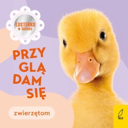 Przyglądam się zwierzętom