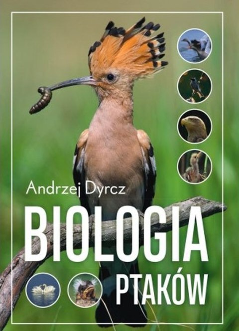 Biologia ptaków