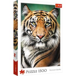 Puzzle 1500 Portret tygrysa 26204