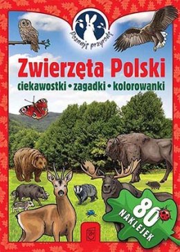 Zwierzęta polski poznaję przyrodę + naklejki