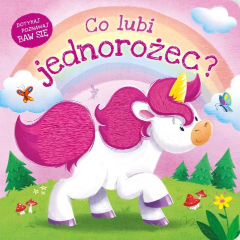 Co lubi jednorożec? Co lubi