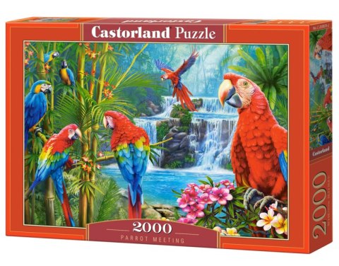 Puzzle 2000 Parrot Meeting C-200870-2