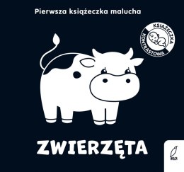 Zwierzęta. Pierwsza książeczka malucha. Książeczki kontrastowe