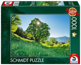 Puzzle 1000 PQ Góra Ahorn Szwajcaria 112344