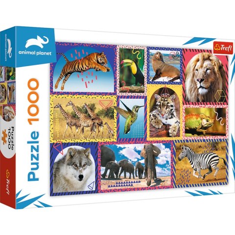 Puzzle 1000 Dzika natura 10673