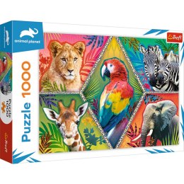 Puzzle 1000 Egzotyczne zwierzęta 10671