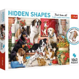 Puzzle 1043 Hidden Shapes Psia zabawa 10675