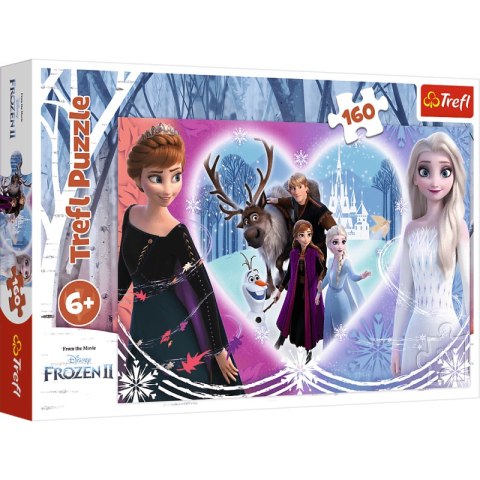 Puzzle 160 Radosne chwile Frozen 2 15408