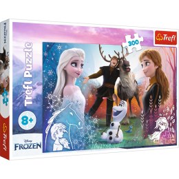 Puzzle 300 Magiczny czas Frozen 2 23006