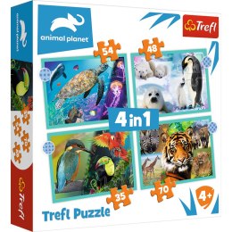 Puzzle 4w1 (12,15,20,24) Tajemniczy świat zwierząt 34382