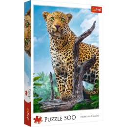 Puzzle 500 Dziki lampart 37332