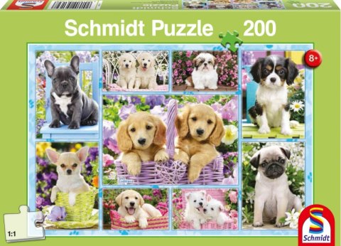 Puzzle 200 Szczeniaki 105984