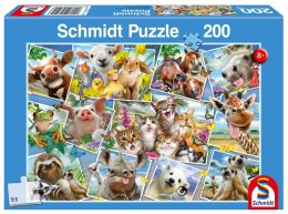 Puzzle 200 Zwierzątka robią selfie 107243