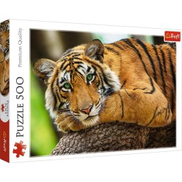 Puzzle 500 Portret tygrysa 37397