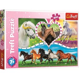 Puzzle 200 Piękne konie 13248