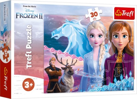 Puzzle 30 Odwaga sióstr Frozen 2 18253