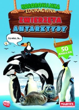 Zwierzęta Antarktydy. Kolorowanka z naklejkami