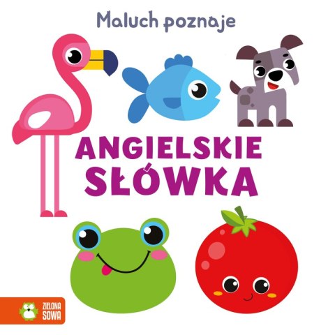 Angielskie słówka. Maluch poznaje