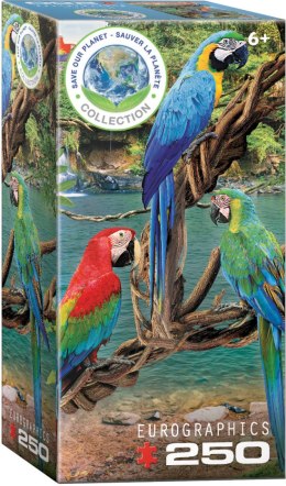 Puzzle 250 Macaws 8251-5588