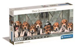 Puzzle Panorama 1000 Compact Beagles 39869