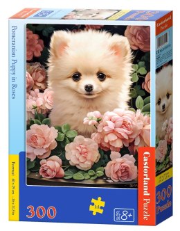 Puzzle 300 Pomeranian Puppy in Roses B-030552
