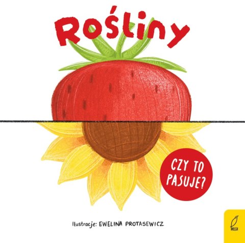 Rośliny. Czy to pasuje?