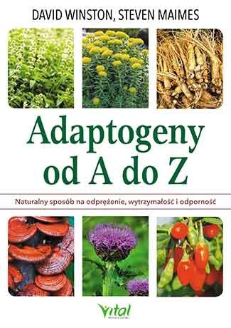 Adaptogeny od a do z naturalny sposób na odprężenie wytrzymałość i odporność