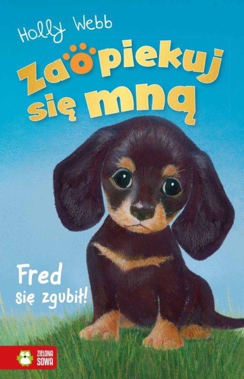 Fred się zgubił. Zaopiekuj się mną