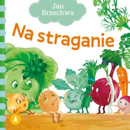 Na straganie