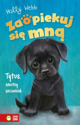 Tytus, smutny szczeniak. Zaopiekuj się mną