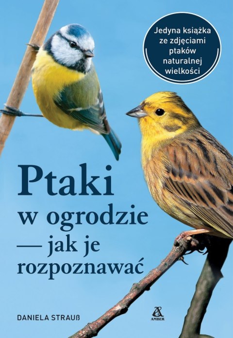 Ptaki w ogrodzie — jak je rozpoznawać wyd. 2024