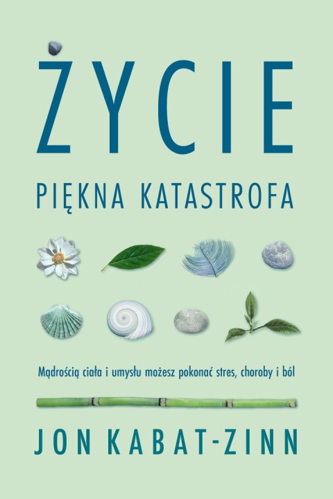 Życie, piękna katastrofa