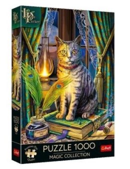 Puzzle 1000 Premium Plus Magic Collection Księga Cieni 10899