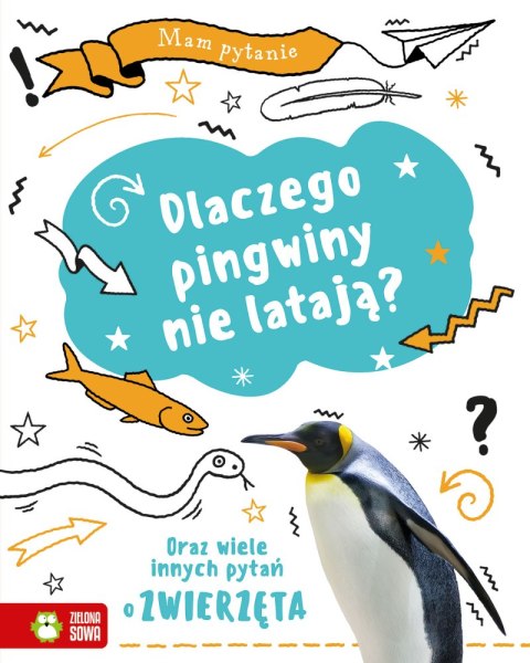 Dlaczego pingwiny nie latają? Oraz wiele innych pytań o zwierzęta. Mam pytanie