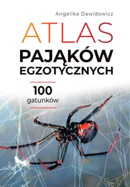 Atlas pająków egzotycznych. 100 gatunków