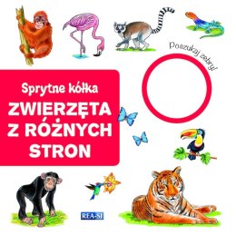 Zwierzęta z różnych stron. Sprytne kółka