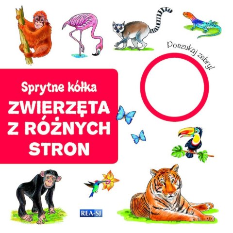 Zwierzęta z różnych stron. Sprytne kółka