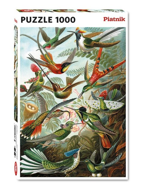 Puzzle 1000 Haeckel Kolibry